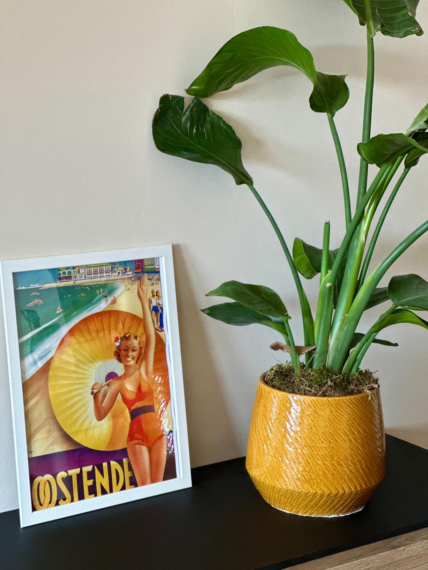 Studio By Aimee - 20M From The Beach & In City Centre! Oostende Buitenkant foto
