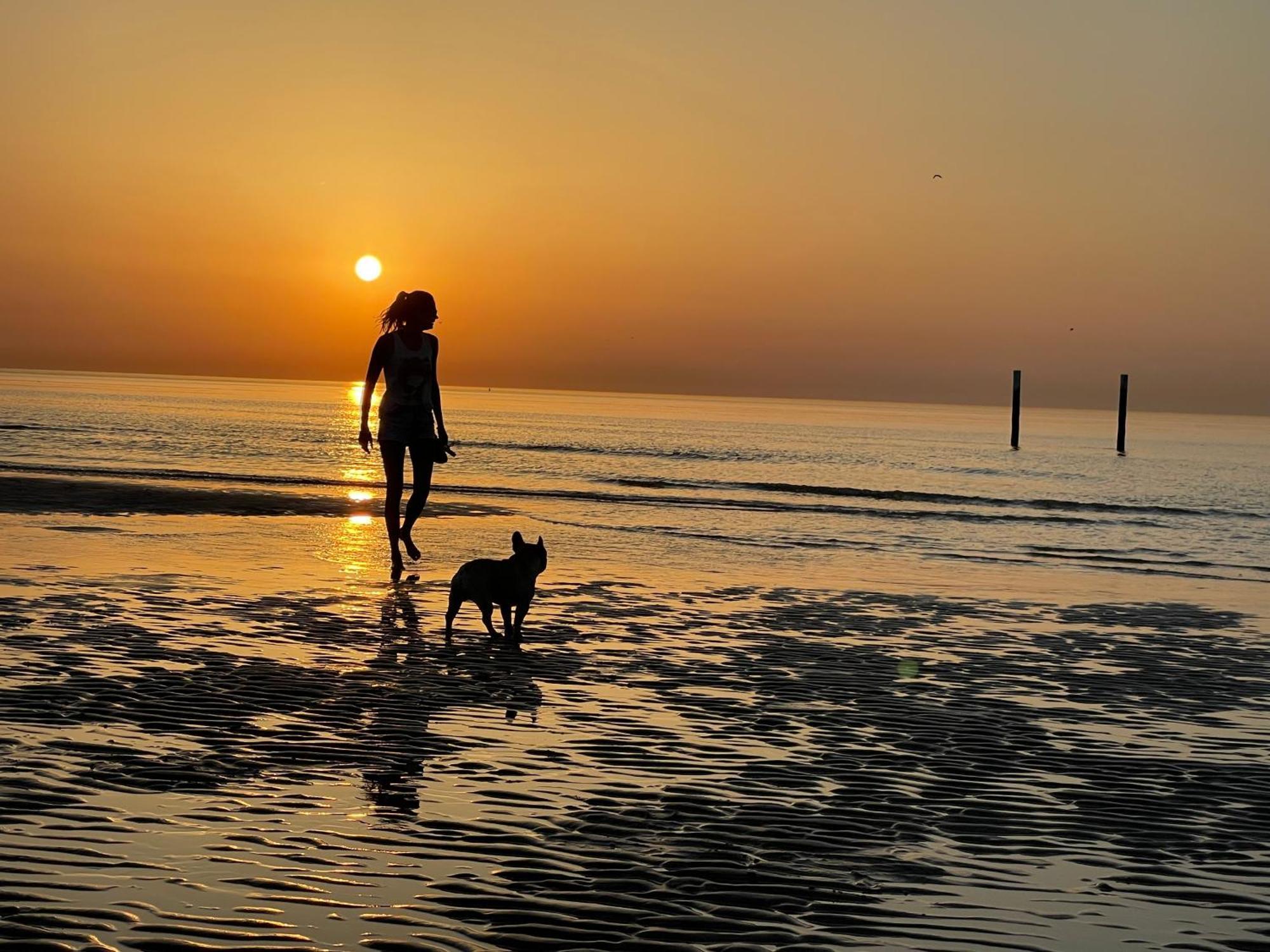 Studio By Aimee - 20M From The Beach & In City Centre! Oostende Buitenkant foto